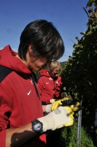 Kisho Yano et sa passion pour la cueillette 
